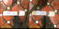 GEOSTAR裂縫尺現地監測1